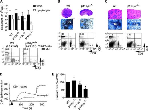 Figure 6. Effect of p110δ and p110γ deletion on extrathymic T cells. (A) Cell counts and flow cytomtery analysis of surface expression of TCRB were performed on whole blood and isolated PBMCs, respectively, whereas CD4 and CD8 expression was evaluated on total cells harvested from peripheral lymph nodes (B) and spleens (C) of WT control and p110γδ-/-. Histologic examination of hematoxylin and eosin-stained lymph node (B) and splenic (C) sections (objective magnifications each 4 ×). Delineation of the T-cell population by immunoperoxidase detection of CD3+ counterstained with Meyer hematoxylin was also performed (100 ×; scale bar, 100 μm). Ca2+ flux in CD4+-gated T cells from WT control (D-E), p110γ-/- (E), p110δ-/- (E), and p110γδ-/- (D-E) mice in response to TCR cross-linking. Values depicted represent the mean ± SE for 3 independent experiments performed in duplicate or triplicate. *Statistical significance compared with WT control (P < .05).
