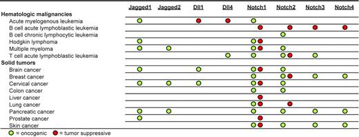 Figure 6. Neoplasias in which Notch receptors or ligands play potential oncogenic or tumor-suppressive roles.