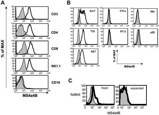 Figure 4. MS4a4B protein is detected by FACS analysis. Cells were isolated, stained for surface markers where indicated, fixed and permeabilized, and stained with anti-MS4a4B (solid line) or rabbit Ig (light line with shading) as control. (A) Spleen cells stained for the indicated lineage markers. (B) Staining results for T-cell clones (5cc7, T32, AE7, CTLL-2, HT-2) and hybridomas (58α and α28) are shown. (C) Staining results for Mac1+ cells, freshly isolated from spleen, analyzed immediately (fresh), or expanded in vitro with MCSF (expanded) for 7 days before analysis. Results shown are representative of 3 separate experiments.
