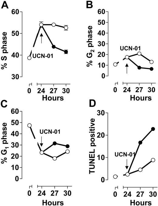 Figure 1. S-phase arrest by ara-C: abrogation by UCN-01. Exponentially growing ML-1 cells were incubated with 50 nM ara-C for 24 hours (○), at which time the culture was split and UCN-01 (50 nM) was added to one portion (•). Cells were sampled from each culture at the indicated times. DNA content (A, S phase; B, G2/M; C, G1) and TUNEL reactivity (D) were analyzed by flow cytometry. Symbols represent mean ± SD.