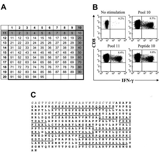 Figure 4. HSV-TK–specific CD8+ CTLs can be visualized by CFC and recognize multiple epitopes within the HSV-TK protein. (A) Design of peptide pools. The numbers of the pools (left column and top row) are shown in bold. Individual 15-mer peptides overlapping by 11 aa (n = 95) in these 20 pools correspond to the numbers in the respective columns and rows. Peptides 1 to 3 comprise the C-terminal aa sequence of the Hy protein (Hy300-324), peptides 4 to 7 encompass the HyTK fusion site, and peptides 8 to 95 span the aa sequence of the HSV-TK protein (HSV-TK10-376). The gray shading illustrates how a candidate peptide was chosen. (B) Identification of an immunogenic peptide from the peptide pools that induced IFN-γ production by CD8+ T cells. Samples of postinfusion PBMCs were obtained from UPN 4103 stimulated in vitro with γ-irradiated HyTK-positive donor T cells twice 1 week apart. Aliquots of the cultures were incubated for 6 hours with medium alone or with each 1 of the 20 peptide pools or the individual 15-mer peptides. Cells were then stained with FITC-coupled anti–IFN-γ and PE-coupled anti-CD8β mAbs and examined by flow cytometry. Cells were gated to identify CD8+ T cells and stained for intracellular IFN-γ. Values indicate the percentage of cells in the culture that produced IFN-γ in response to peptide stimulation. (C) Multiple 15-mer peptides throughout the sequence of the HSV-TK protein (boldface) are immunogenic. The underlined sequences indicate the 15-mer candidate peptides within the HSV-TK protein that were identified to induce IFN-γ production by CD8+ T cells in aliquots of the T-cell lines or postinfusion PBMCs from the 3 patients. Immunogenic peptides within the adjacent Hy protein (italics) or fusion site were not detected in these patients.
