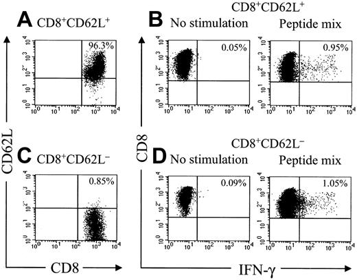 Figure 7. Adoptive transfer of HSV-TK–modified T cells results in the induction of a durable memory T-cell response. Samples of PBMCs were obtained from UPN 1574 more than 7 years after HSV-TK–modified DLI, stained with anti-CD8 and anti-CD62L mAbs, and separated by fluorescence-activated cell sorting (FACS) in a CD8+CD62L+ and CD8+CD62L– fraction. These fractions were then incubated with medium alone or stimulated for 6 hours with a peptide mix consisting of the 6 candidate 15-mer peptides as described in “Patients, materials, and methods.” After 6 hours of stimulation, cells were then stained with FITC-coupled anti–IFN-γ and PE-Cy7–coupled anti-CD8 mAbs and examined by flow cytometry. Cells were gated to identify CD8+ T cells and assessed for cytokine production.