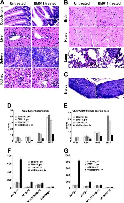 Figure 6. EM011 does not cause obvious pathologic abnormalities in normal tissues. (A-C) Hematoxylin and eosin staining of paraffin-embedded sections of the duodenum, liver, spleen, kidney (A), brain, heart, lung (B), and sciatic nerve (C). Original magnification, × 400 (objective, 40 ×/0.65 NA). Panels D and E show the white blood cells (WBC) and red blood cells (RBC) counts, and hemoglobin (HGB) concentrations, and hematocrit (HCT) values of mice bearing tumor xenografts; P < .05. Panels F and G show the levels of alanine transaminase (ALT), aspartate aminotransferase (AST), alkaline phosphatase (ALK PHOS), and blood urea nitrogen (BUN) of mice bearing tumor xenografts.