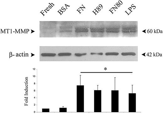 Figure 5D. (D, top) MT1-MMP protein content was estimated by Western blot analysis of total cellular extracts from fresh monocytes or monocytes attached to plates coated as described for panel A. LPS stimulation for 16 hours was included as a positive control. Anti-MT1-MMP LEM-2/15 mAb recognizes immature and mature forms of MT1-MMP of 63 kDa and 60 kDa, respectively. (D, bottom) The arithmetic means and SD of the fold induction of the ratio of MT1-MMP to β-actin levels estimated by densitometry are represented (an arbitrary value of 1 was assigned to the MT1-MMP/β-actin ratio in freshly isolated monocytes). n = 3. *P < .05.
