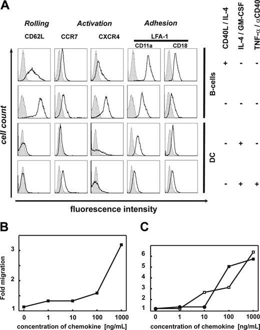Figure 1. Lymph-node homing phenotype of CD40-activated B cells. (A) Expression of lymph node homing receptors on CD40-B cells. First row: Expression by CD40-activated B cells after 14 days of culture; similar results were obtained at later time points. Second row: Expression by unstimulated B cells. Third row: Expression by immature monocyte-derived DCs. Fourth row: Expression by monocyte-derived DCs upon maturation with anti-CD40L/TNF-α. One representative experiment of at least 8 is shown. (B-C) Migration of CD40-B cells. Total number of CD40-B cells in bottom chamber of Costar transwell plate after 2-hour migration through a 5-μm filter. Migration was determined for different concentrations of chemoattractants: (B) Ligand of CXCR4: CXCL12. (C) Ligands of CCR7: CCL21 (□) and CCL19 (▪). Mean values are shown; at least 6 independent experiments were performed.