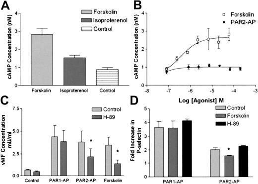 Figure 7. The role of cAMP in PAR2-mediated release of VWF and P-selectin. (A) HUVECs were stimulated with forskolin (20 μM), isoproterenol (10 μM), or vehicle for 15 minutes and then assayed for cAMP. Figure is representative of an experiment conducted 3 times. (B) Dose response of forskolin and PAR2-AP in HUVECs. Forskolin data are representative of an experiment done 3 times, whereas PAR2-AP data are the average of an experiment done 3 times. Dose-response curves were generated using the area under the curve function in SOFTmax PRO. (A-B) Cells were stimulated for 15 minutes with agonist and IBMX (100 μM) and then were assayed for cAMP. (C) Protein kinase A inhibition with H-89 decreases PAR2-AP and forskolin stimulation of VWF. HUVECs were pretreated with H-89 (10 μM) for 10 minutes and then stimulated with PAR1-AP (100 μM), PAR2-AP (200 μM), or forskolin (20 μM with 100 μM IBMX) for 20 minutes, and medium was collected and assayed for VWF. Figure represents the mean ± SEM of 3 experiments conducted in triplicate. *Statistically significant difference between control and H-89 (P < .05 as determined by 2-tailed t test). (D) Forskolin and H-89 do not significantly alter PAR1-AP–mediated release of P-selectin. HUVECs were pretreated with H-89 (10 μm) for 10 minutes or stimulated with forskolin (20 μM) along with PAR1-AP (100 μM) or PAR2-AP (200 μM) or vehicle for 15 minutes, and P-selectin was measured. Values represent the fold induction and are corrected for the effect of forskolin on basal P-selectin release. Figure represents the mean ± SEM of 3 experiments conducted in triplicate.