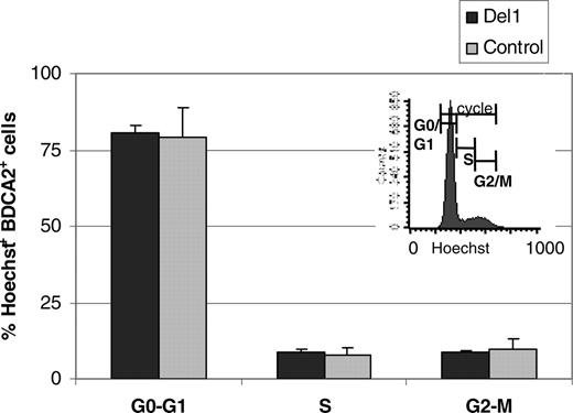 Figure 2. Cell-cycle analysis. UCB CD34+ cells were cultured on either OP9-Del1 (▪) or OP9-C stroma (▦), and after 7 to 14 days cells were stained with BDCA-2 and Hoescht to measure cell cycle by flow cytometry. Results represent the means ± SD values of gated BDCA-2+ cells in the different phases of cell cycle obtained from 4 independent experiments. A representative histogram of the cell cycle of BDCA-2+ cells cultured onto OP9-Del1 stroma is inserted.