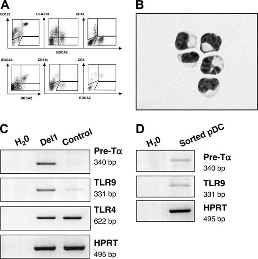 Figure 3. BDCA-2+ pDCs that develop onto OP9-Del1 stromal cells have characteristic markers of pDCs. (A) Flow cytometric analysis on the cells produced in OP9-Del1 coculture, representative of 3 experiments. (B) Purified pDCs were obtained by flow cytometric isolation of CD45+ CD123+ BDCA-2+ cells from OP9-Del1 coculture. Cells were then spun on glass slides and stained with Wright Giemsa. Photograph was obtained with a Leica DFC320 digital color camera mounted onto a Leica DMRB microscope (Leica Microsystems, Wetzlar, Germany) using a 60×/1.32 NA oil objective and Leica IM 50 version 4.0 software. (C) Analysis of mRNA transcripts expressed by 1 × 106 cells obtained at day 20 of culture of CD34+ cells onto OP9Del1 or OP9-C. (D) mRNA transcripts expressed by sorted BDCA-4+ CD123 + cells.