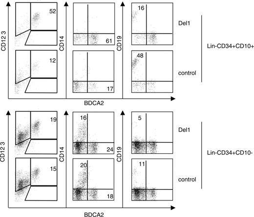 Figure 7. Delta-1 enhances the development of bone marrow–derived committed lymphoid progenitor cells into pDCs. Common lymphoid progenitor cells were purified from bone marrow using flow cytometric sorting of Lin– CD34+ CD10+ cells. The control Lin– CD34+ CD10– cells were also obtained and tested. Cells were seeded onto the indicated OP9 stroma cells lines in the presence of FL and IL-7. The progeny was harvested at day 14 and analyzed by flow cytometric analysis for expression of CD19, CD14, and BDCA-2 markers. Numbers indicate the percentage of each subset in quadrants.