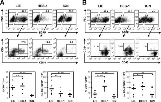 Figure 2. HES-1 overexpression has no influence on myeloid differentiation but maintains CD34+ cells. Flow cytometric analysis of MS-5 cocultures with cytokine Mix 6 (SCF, FL3, TPO, IL-2, IL-7, and IL-15). Percentages of CD4+CD14+ monocytes (A) and CD45+CD34+ cells (B) in the EGFP+-gated fraction of cultures initiated with LIE-, HES-1-, or ICN-transduced CD34+ cord-blood cells are indicated. Dot plots shown are representative of 5 to 6 independent experiments with cells from 5 to 6 different donors. Scatterplots show relative and absolute numbers of monocytes and CD34+ cells generated in 5 to 6 independent experiments. Each symbol represents an individual experiment. The thick horizontal lines in each bottom panel represent the mean. P values obtained with the paired Student t test are shown when significant; N.S. indicates a nonsignificant P value.