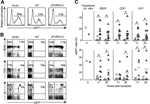 Figure 3. Expression of dPH/R364E/dC in HSCs/HPCs facilitates the repopulation of blood cells in irradiated hosts. (A) Transduction efficiencies of retroviral vectors into Lin- cells. The percentage of eGFP-positive cells in Lin- populations transduced with control vector (left), vectors encoding Lnk (middle), or dPH/RE/dC (right) are indicated. (B) Lethally irradiated mice received transplants with transduced Lin- cells. Peripheral-blood cells harvested from mice 11 weeks after transplantation were stained with anti-B220, anti-CD3, or anti–Gr-1, and the contribution of eGFP-positive cells to B-, T-, or myeloid-lineage cells was analyzed. Numbers represent the percentage of cells that fall into the indicated boxes. Typical results of multiple experiments are shown. (C) Long-term repopulating ability of dPH/R364E/dC-transduced cells. The contribution of transduced cells to B-, T-, and myeloid-lineage cells was analyzed at indicated time points. ▵ indicate the control vector-transduced group; ▴, the dPH/R364E/dC-transduced group. Two representative results of 5 experiments are shown. *P < .05: significant differences between dPH/R364E/dC-transduced and control groups.