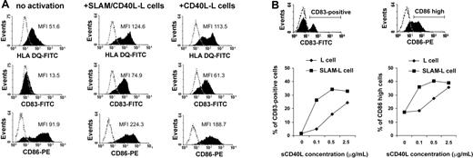 Figure 2. The effect of SLAM molecules on the induction of cell-surface receptors concomitant with CD40L-induced maturation of DCs. (A) Immature DCs were cultured in the presence of CD40L-L cells or SLAM/CD40L-L cells for 24 hours. Cell-surface expression of HLA-DQ, CD83, and CD86 was determined by flow cytometry. Histograms obtained when using specific antibodies (filled areas) or isotype-identical controls (open areas) are shown. MFI indicates mean fluorescence intensity; FITC, fluorescein isothiocyanate. (B) IDCs were cultured with or without sCD40L for 24 hours in the presence of SLAM-L cells or the SLAM– parental cell line. CD40L was added at concentrations indicated. Cell-surface expression of CD83 and CD86 molecules on DCs was analyzed by FACS. The ratio of CD83+ and CD86high DCs was calculated using the indicated gates (histograms). The ratio of CD83+ and CD86high DCs at different sCD40L concentrations in the presence of SLAM+ or SLAM– L cells is shown. Representative results of 3 independent experiments are shown.