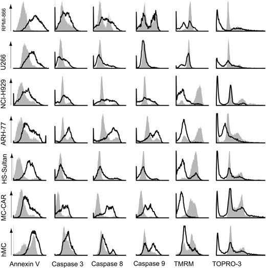 Figure 3. Delineation of apoptotic pathways triggered by rATG. Myeloma cell lines and primary myeloma cells were incubated with 250 μg/mL unimmunized rabbit IgG (filled areas) or rATG (open areas) and assayed at 18 hours. Representative histograms are shown (from n = 5 experiments/cell type). Loss of mitochondrial-membrane potential was a prominent feature of all cell lines with the exception of U266, which exhibited primarily caspase-3 activation. Caspase-3 activation was seen to varying degrees in all cell lines and primary cells. All myeloma cell lines and primary cells exhibited subdiploid DNA fragmentation.