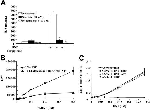Figure 4. Effects of P2Y receptor antagonists suramin and reactive blue HNP-induced IL-8 production, and HNP binding on A549 cells. (A) A549 cells (2.5 × 105 cells/well in 6-well plate) were incubated in serum-free DMEM containing 100 μM suramin or reactive blue for 30 minutes, followed by the addition of 10 μg/mL HNP for 8 hours. IL-8 levels in supernatants were measured. *P < .05 suramin or reactive blue compared with no inhibitor, respectively. (B) A549 cells (5 × 104 cell/well in 96-well plate) were incubated in serum-free DMEM containing 0 to 0.7 μM 125I-labeled HNP for 30 minutes on ice, with or without pretreatment with 40-fold molar excess concentration of unlabeled HNP for 30 minutes. Cell-associated HNP binding was measured by radioactivity counting. CPM indicates counts per minute. (C) HNPs do not compete with ATP or UDP in engaging cell-surface binding sites. A549 cells were incubated in serum-free DMEM containing 0 to 2.8 μM HNP for 30 minutes, with or without pretreatment with 0 to 100 μM ATP or UDP for 30 minutes. A control group of cells incubated with UDP in the absence of HNP was included. Cell-surface HNP binding was measured by HNP-cell ELISA (n = 3).