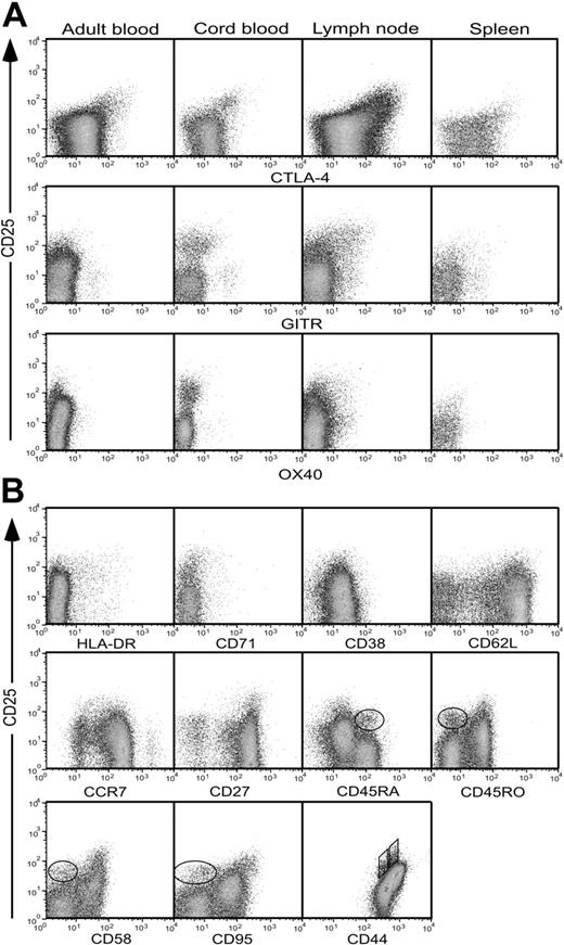 Figure 2. Expression of regulatory T-cell markers by CD4+ lymphocytes. (A) Expression of CTLA-4, OX40, or GITR by CD4+ T cells from adult or cord blood, spleen, or lymph nodes. Cells were stained for intracellular expression of CTLA-4 and surface expression of OX40 and GITR, together with CD4 and CD25. Profiles are gated for lymphocytes expressing CD4. (B) Expression of HLA-DR, CD71, CD38, CD62L, CCR7, CD27, CD45RA, CD45RO, CD58, CD95, and CD44 by adult peripheral-blood cells costained for CD4 and CD25. Profiles are gated for live cells expressing CD4. The circled populations in the CD45RA, CD45RO, CD58, and CD95 plots represent a second population of CD25+ T cells distinguishable from the CD25bright population. In the CD44 profile, 2 distinct populations of CD25+ T cells are identified using parallelograms. Results are representative of between 3 and 9 independent experiments for each sample and stain.