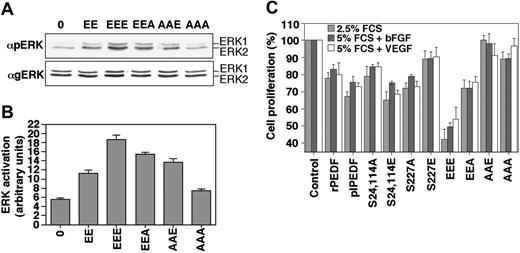 Figure 3. The effect of rPEDF mutants on ERK activation and proliferation in HUVECs. (A) HUVECs were serum starved for 16 hours and then stimulated with the indicated rPEDF mutants (10 nM) for 15 minutes. Cytosolic extracts (30 μg) were subjected to immunoblotting with anti-pERK (αpERK, top panel) or anti-gERK (αgERK, bottom panel) Abs. The positions of ERK2 and ERK1 are indicated. (B) Quantitative analysis of the results in panel A, presented as a mean ± SD (n = 3). ERK activation is indicated for both ERK1 and ERK2. (C) HUVECs were seeded in gelatin-coated 24-well plates in M-199 plus 2.5% or 5% FCS (0.5 mL/well). PEDFs were added immediately after seeding at quadruplicates (10 nM) with or without bFGF or VEGF (10 ng/mL each). After 48 hours, cell number was determined by methylene blue assay. The bar graph represents the mean ± SD (n = 5).