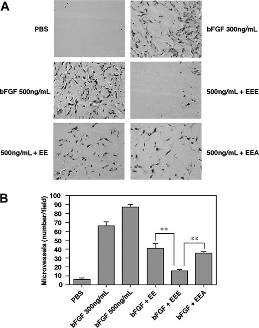 Figure 6. The antiangiogenic activity of the PEDF mutants tested with an extensive bFGF-induced neovascularization. (A) CD-1 nude mice were subcutaneously injected with 0.5 mL Matrigel containing PBS and the various PEDF mutants (all at 20 nM), in the presence or absence of bFGF (500 ng/mL). Control plugs were treated with PBS or bFGF only. After 7 days, mice were killed and the plugs were excised, fixed, sectioned, and stained. Representative fields of H&E staining of thin sections were taken using a light microscope as described for Figure 5. (B) Angiogenesis was quantified by counting the number of infiltrating cells or blood vessels/field for 3 different cross-sectional areas and presented as a mean ± SD (n = 4). Student t test was used to analyze statistical significance of the differences between bFGF- and EEE-treated plugs and plugs treated with bFGF and EEA or the S24,114E mutants (**P < .05).
