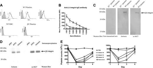 Figure 1. Murine anti–β3 integrin antibodies were generated after immunizing β3-/- female mice with wild-type mouse platelets. (A) WT mouse platelets were incubated with a 1:100 dilution of sera from β3-/- mice immunized either 2 or 4 times weekly (dotted line indicates 2 times; bold line, 4 times) or preimmune sera (filled area) and stained with FITC-conjugated goat anti–mouse IgG or rat anti–mouse IgG1 or IgG2a. β3-/- platelets or WT red blood cells (RBCs) were used as negative controls. (B) Titration of IgG antibody in preimmune sera of β3-/- mice (□), and sera of mice after 2 (○) or 4 (♦) WT platelet transfusions. (C) Western blot of platelet lysates with both control anti–β3 integrin antibody sc-6627 and antisera of mice after 4 WT platelet transfusions. No β3 integrin band was recognized by sera from nonimmunized β3-/- mice in the negative control. (D) β3 integrin was immunoprecipitated from platelet lysates using either antisera from this study or the monoclonal antibody JON2 (anti-mouse β3 integrin) or p0p3 (anti-mouse GPIbα, negative control). The β3 integrin immunoreactive band was detected by both the antisera (left panel) and the positive control antibody sc-6627 (right panel) in immunoblot analysis. (E) Thrombocytopenia was induced in WT BALB/c mice by 100 μL antisera and their dilutions from the β3-/- mice transfused 2 times (right panel) or 4 times (left panel) with WT platelets. PBS was used as a control. n = 3 in each group. Data are represented as means ± SEM.