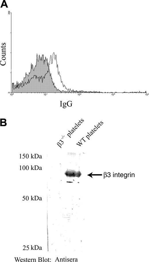 Figure 2. Low-level antibody response in later pregnancies of naive female β3-/- mice after breeding 3 times with wild-type male mice. (A) Detection of antiplatelet IgG by flow cytometry. A 1:100 dilution of sera from the naive β3-/- mice was incubated with WT mouse platelets. Anti–β3 integrin antibodies were detected at very low levels in sera from the mice after 3 pregnancies (thin line) compared with those from mice before breeding (filled area) by a flow cytometric assay. (B) Western blot of platelet antigens with a 1:1000 dilution of sera from the naive β3-/- mice. β3 integrin was recognized by both the control antibody sc-6627 (data not shown) and the antisera from the naive β3-/- mice after 3 pregnancies.