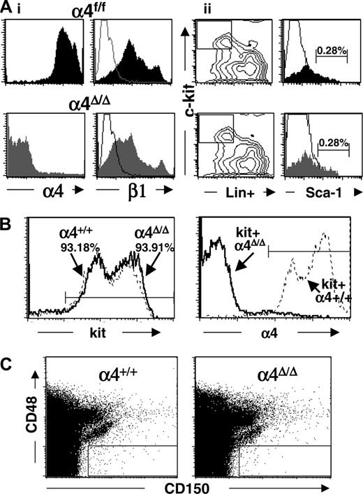 Figure 1. FACS analysis of BM cells from α4-deficient or control mice. (A) Note the absence of α4 expression and the left shift in β1 integrin expression of BM cells from α4Δ/Δ mice compared to controls (4 left panels). Solid lines represent isotype control antibody. (ii) Proportions of Lineage-/Sca-1+/kit+ (LSK) cells containing an enriched population of stem cells. Gated Lineage-/kit+ cells (top left) were tested for Sca-1 positivity (ii). No differences are seen between the α4Δ/Δ (neonatally ablated and tested at 14 weeks) and control mice (14 weeks old), suggesting normal representation of LSK cells in α4-deficient mice. Furthermore, kit+ cells did not express α integrin (panel B). In panel C, BM cells were labeled with anti-CD150 PE and anti-CD48 FITC. Among more than 2 × 105 cells analyzed, the proportion of CD150+ CD48- cells were 0.014% and 0.02% (2 experiments) in control and 0.18% and 0.03% in neonatally ablated α4Δ/Δ animals of the same age (4-5 months). No α4+ cells were seen among CD150+CD48- cells from α4Δ/Δ BM (data not shown). The proportion of CD150+CD48+ was 4.09% in controls and 6.62% in α4Δ/Δ. It is of interest that all kit+ cells were CD48+ in both sets of animals.