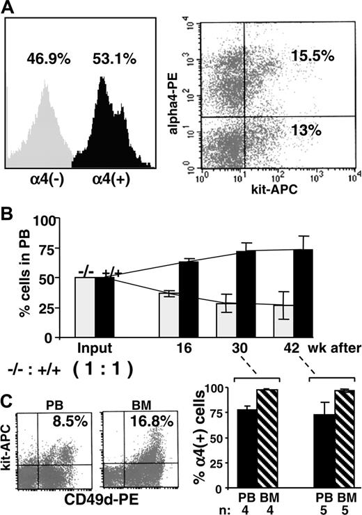 Figure 2. Competitive repopulation with pooled α4+/+ (competitor cells) and α4Δ/Δ (test cells) BM cells. (A) Proportion of α4+ cells in the pooled BM sample used for transplantation is depicted in the left panel, and proportion of kit+/α4+ cells is shown in the right panel. (B) Blood samples from recipients who received transplants were assessed 16 to 42 weeks after transplantation for the presence of α4+ (▪) or α4- () cells. At all times tested, the proportion of α4+ cells was 2:1 in PB (compared to input ratio of 1:1). (C) Comparison of PB and BM positivity (right panels) for α4 integrin in mice that received transplants and were killed at 30 (n = 4) or 42 (n = 5) weeks after transplantation (PB, ▪; BM from the same group of mice, ). Reconstitution by α4+ cells was higher in BM compared to concurrently tested PB cells (total cells or kit+ cells, left panels), suggesting ongoing replacement of hematopoiesis by α4+ competitor cells. Error bars represent standard error of the mean.