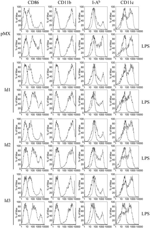 Figure 4. Overexpression of Id genes in BMMs does not affect the expression level of characteristic dendritic-cell markers. BMMs were transduced with pMX-IRES-EGFP (control), Id1, Id2, or Id3 retrovirus. Cells were cultured for 4 more days with GM-CSF to generate DCs. LPS (1 μg/mL) was added to cultures to induce DC maturation. The cells were harvested the next day and stained for FACS analysis with anti-CD86, anti-CD11b, anti–I-Ab, anti-CD11c antibodies (solid line), or control IgG (dotted line).
