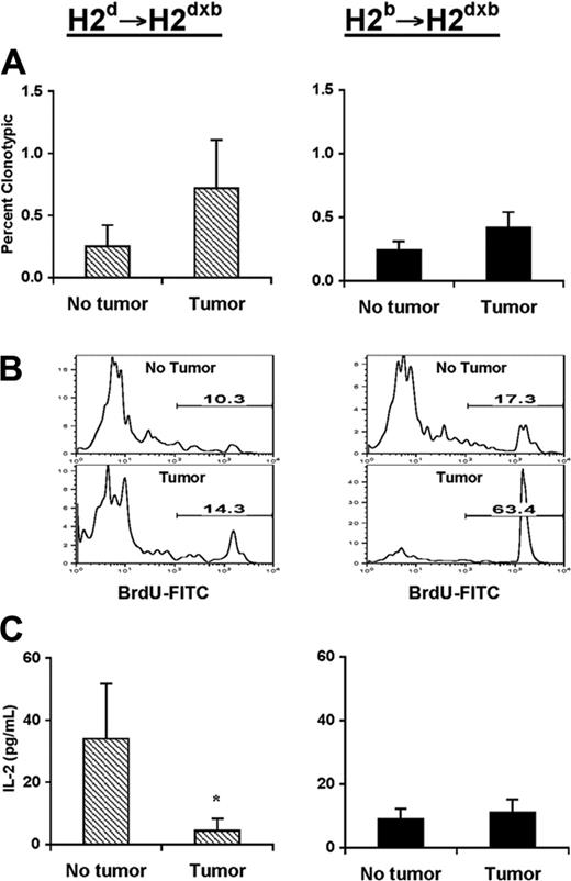 Figure 2. Phenotypic and functional changes associated with antigen recognition by naive CD4+ T cells in the presence or absence of cross-presentation of tumor antigens. Three months after bone marrow reconstitution, H-2d SCID→ H-2dxb (left panel) or H-2b SCID→ H-2dxb (right panel) chimeras received 1 × 106 naive anti-HA CD4+ TCR transgenic T cells intravenously. Four weeks later, half the animals in each set of chimeras were challenged with 1 × 106 A20HA tumor cells given intravenously. In a cohort of tumor-bearing and tumor-free chimeras, BrdU was added to the drinking water on day 14 after tumor injection. Three weeks after tumor challenge, all the animals were killed, and T cells were purified from their spleens, as described in “Materials and methods.” (A) Purified splenic T cells were analyzed by 2-color flow cytometry staining for CD4 compared with anti-HA TCR clonotype (mAb 6.5). Three mice were included per group. Values represent mean ± SE of percentage of T cells expressing the clonotypic TCR for 3 mice/group. Shown is a representative experiment of 3 independent experiments with similar results. (B) Representative FACS profile of BrdU labeling on anti-HA CD4+ T cells isolated from H-2d SCID→ H-2dxb or H-2b SCID→ H-2dxb tumor-bearing chimeras. Purified splenic T cells were stained with PE-conjugated anti-CD4 and biotinylated rat anti-clonotypic TCR mAb 6.5 followed by APC-conjugated streptavidin. Cells were then fixed, permeabilized, and stained for BrdU using the BrdU Flow Kit, and 50 000 gated events were collected on FACScalibur and were analyzed using FlowJo software. (C) Purified T cells (4 × 104/well) from the mice in panel A were mixed with fresh splenocytes (8 × 104/well) from F1 mice, to which 12.5 μg HA peptide was added. Forty-eight hours later, supernatants were collected and assayed for IL-2 by ELISA. Data represent mean ± SE of IL-2 production (pg/mL) per well from 3 mice in each group. *Statistically significant difference between tumor-bearing and tumor-free mice (P < .05). Shown is a representative experiment of 3 independent experiments with similar results.