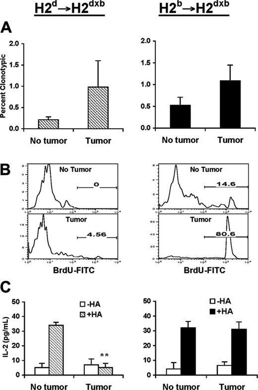Figure 3. Phenotypic and functional changes associated with antigen recognition by memory CD4+ T cells in the presence or absence of cross-presentation of tumor antigens. Three months after bone marrow reconstitution, H-2d SCID→ H-2dxb (left panel) or H-2b SCID→ H-2dxb (right panel) chimeras received 1 × 106 in vitro activated anti-HA CD4+ TCR transgenic T cells intravenously. One month later, half the animals in each group were challenged with 1 × 106 A20HA tumor cells given intravenously. Three weeks after tumor challenge, all the animals were killed, and T cells were purified from their spleens, as described in “Materials and methods.” (A) Purified splenic T cells were analyzed by 2-color flow cytometry staining for CD4 compared with anti-HA TCR clonotype (mAb 6.5). Values represent mean ± SE of percentage of T cells expressing the clonotypic TCR for 3 mice/group. Shown is a representative experiment of 3 independent experiments with similar results. (B) Representative FACS profile of BrdU labeling on anti-HA CD4+ T cells isolated from H-2d SCID→ H-2dxb or H-2b SCID→ H-2dxb tumor-bearing chimeras. (C) Purified T cells (4 × 104/well) from the mice in panel A were mixed with fresh splenocytes (8 × 104/well) from F1 mice to which 12.5 μg HA peptide was or was not added. Forty-eight hours later, supernatants were collected and assayed for IL-2 by ELISA. Data represent mean ± SE of IL-2 production (pg/mL) per well from 3 mice in each group. *Statistically significant difference between tumor-bearing and tumor-free mice (P < .01). Shown is a representative experiment of 3 independent experiments with similar results.
