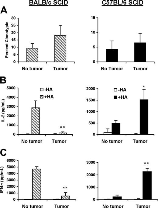 Figure 4. Effective priming of naive CD4+ T cells by B-cell lymphomas occurs in the absence of cross-presentation. BALB/c SCID (left panel) or C57BL/6 SCID (right panel) mice received 1 × 106 naive anti-HA CD4+ TCR transgenic T cells from F1 donors given intravenously. One day later, half the animals in each group were challenged with 1 × 106 A20HA tumor cells given intravenously. Three weeks after tumor challenge, all the animals were killed and T cells were purified from their spleens. (A) T cells were analyzed by 2-color flow cytometry staining for CD4 compared with anti-HA TCR clonotype (mAb 6.5). Three mice were included per group. Values represent mean ± SE of percentage of T cells expressing the clonotypic TCR. Shown is a representative experiment of 3 independent experiments with similar results. Purified T cells (4 × 104/well) from the mice in panel A were mixed with fresh splenocytes (8 × 104/well) from F1 mice to which 12.5 μg HA peptide was or was not added. Forty-eight hours later, supernatants were collected and assayed for IL-2 (B) or IFN-γ (C) by ELISA. Data represent mean ± SE of cytokine production (pg/mL) per well from 3 mice in each group. Asterisks indicate statistically significant differences between tumor-bearing and tumor-free mice (*P < .05; **P < .01). Shown is a representative experiment of 3 independent experiments with similar results.