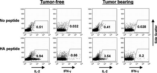 Figure 7. Dendritic cells from A20 lymphoma-bearing mice have impaired antigen-presenting capabilities. BALB/c mice were injected intravenously with 1 × 106 A20 WT lymphoma cells. Three weeks later, animals were killed and CD11c+ splenic DCs were isolated by magnetic sorting. Purified anti-HA T cells (2 × 106) were then plated for 10 hours with 2 × 105 DCs from lymphoma-bearing (right) or control tumor-free (left) mice in the presence or absence of cognate peptide. Each dot plot is gated on the CD4+/6.5+ clonotypic population and shows the percentage of anti-HA T cells positive for IL-2 or IFN-γ, as determined by intracellular cytokine staining. DCs were obtained from 4 mice, and the experiment was repeated twice with similar results.