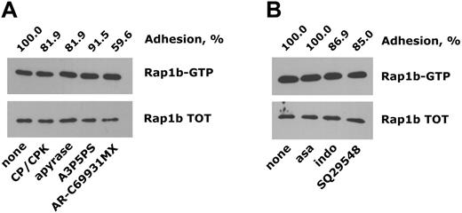 Figure 2. Integrin α2β1-induced activation of Rap1b does not require platelet-derived secondary agonists. Platelet adhesion to monomeric collagen was analyzed using washed platelets preincubated with the ADP scavengers CP/CPK or apyrase or with the ADP receptor antagonists A3P5PS or AR-C69931MX (A) or upon treatment with the cyclooxygenase inhibitors aspirin (asa) and indomethacin (indo) or with the thromboxane A2 receptor antagonist SQ29548 (B), as described in “Materials and methods.” The immunoblots show both active Rap1b (Rap1b-GTP) and total Rap1b (Rap1b TOT) isolated from the same number of adherent platelets. The effect of the different treatments on the extent of platelet adhesion is reported on the top of the panels (adhesion, %), considering as 100% the adhesion of nontreated platelets.