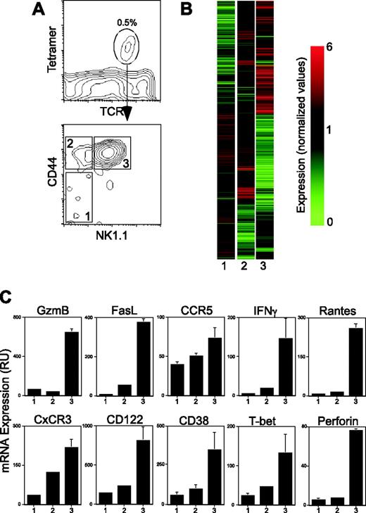 Figure 1. Modulation of gene expression during Vα14i NKT-cell development. (A) C57BL/6 thymocytes were stained for CD1d tetramer, TcRβ, NK1.1, and CD44. CD1d tetramer+ TcRβ+ cells were subdivided into 3 populations based on CD44 and NK1.1 expression and sorted. CD44low NK1.1– cells were defined as stage 1, CD44high NK1.1– as stage 2, and CD44high NK1.1+ as stage 3. (B) Gene tree clustering using similarity measure standard correlation. Genes were selected for analysis if their average expression level deviated from that of Stage 1 by at least a factor of 1.8 in 2 out of 2 experiments (597 genes met this criteria). Each column represents data from the indicated developmental stage. Each row represents a gene significantly induced (red) or repressed (green) during the development of Vα14i NKT cells. A color bar shows the magnitude of gene expression changes as a ratio of expression in Stage 1 versus Stage 2 and Stage 3. Genes names, probe ID, and normalized values for each gene can be found in Table S1. (C) Total RNA was prepared from Vα14i NKT cells at each of the 3 defined stages of development and quantitative real-time PCR was performed using primers and probes specific for granzyme B (GzmB), Fas ligand (CD95L), CCR5, IFNγ, CxCR3, CD122, CD38, T-bet, RANTES, and perforin. The amount of each transcript in the 3 developmental stages was determined by quantitative PCR with normalization to the amount of HPRT mRNA in each sample. Results are shown as mean ± standard deviation. Data are representative of at least 3 independent experiments.
