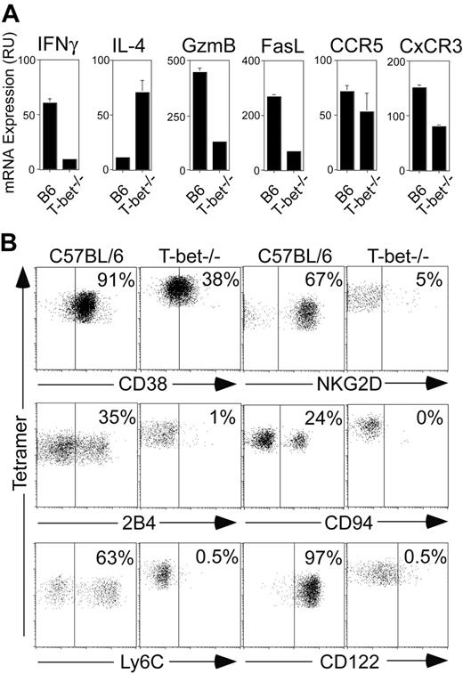 Figure 2. Analysis of expression of several markers on tetramer+ thymocytes from wild-type and T-bet–/– mice. (A) CD1d tetramer+ TcRβ+ thymocytes from wild-type and T-bet–/– mice were sorted and total RNA prepared. Expression levels of IFNγ, IL-4, CD122, granzyme B, Fas ligand, CCR5, and CxCR3 between the 2 cell populations was measured by quantitative PCR using specific primers and probes. The amount of transcript was normalized to the amount of HPRT in each sample. Results are shown as mean ± standard deviation. (B) C57BL/6 and T-bet–/– thymocytes were stained with CD1d tetramer, TcRβ, and diverse markers. CD1d tetramer+ TcRβ+ cells were gated and analyzed for the expression of CD38, NKG2D, 2B4, CD94, Ly6C, and CD122. Percentages of positive cells are indicated.