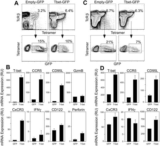 Figure 3. Expression of T-bet in immature Vα14i NKT cells. (A) T-bet–/– thymocytes were depleted of CD8+ cells using anti-CD8 coated magnetic beads. The cells were placed in culture in complete media with 10 ng/mL IL-7. On days 2 and 3 the cells were spin-infected using a control retrovirus (empty GFP) or a T-bet–encoding retrovirus (Tbet-GFP) and replaced in culture with IL-7 for 2 to 3 more days. At the end of the culture, the cells were harvested and stained with the CD1d tetramer and anti-TcRβ mAb. CD1d tetramer+ TcRβ+ GFP+ cells were sorted and total RNA prepared. Percentages of tetramer-positive, TCRβ+ cells are indicated. (B) Expression levels of T-bet, CCR5, Fas ligand, CxCR3, IFNγ, and CD122 in T-bet–/– Vα14i NKT cells infected with the control virus or the T-bet–encoding virus were analyzed by quantitative PCR using specific primers and probes. The amount of transcript in each sample was normalized to the amount of HPRT. Results are shown as mean ± standard deviation. Data are representative of 3 independent experiments. (C) C57BL/6 thymocytes were depleted of CD8+ and NK1.1+ cells using anti-CD8 and anti-NK1.1 magnetic beads. Depletion of NK1.1+ cells was 90% effective. The cells were placed in culture with rmIL-7 and infected and sorted as in panel A. Percentages of tetramer-positive, TCRβ+ cells are indicated. (D) Gene-expression level analysis was performed as in panel B. Results are shown as mean ± standard deviation.