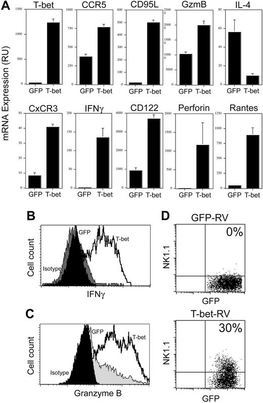 Figure 4. T-bet mediates IFNγ and granzyme B induction in Vα14i NKT cells. T-bet–/– Vα14i NKT cells were infected as described in Figure 3 and sorted. The cells were placed on anti-CD3/anti-CD28–coated plates for 48 hours, washed, and expanded in IL-2 (40 U/mL) for a week. (A) Expression levels of T-bet, CCR5, Fas ligand, CxCR3, IFNγ, IL-4, CD122, perforin, and RANTES were analyzed by quantitative PCR. Results are shown as mean ± standard deviation. (B) The cells were then stimulated with PMA/ionomycin for a total of 4 hours with the last 3 hours of the stimulation in the presence of golgi block, and analyzed by intracellular staining. At the end of the activation period, the cells were washed in phosphate-buffered saline (PBS)/0.1% bovine serum albumin (BSA) and surface-stained with CD1d tetramers. The cells were then fixed and stained for intracellular IFNγ. (C) The cells were treated as in panel B, and were analyzed for granzyme B expression. (D) NK1.1 expression on T-bet–/– Vα14i NKT cells infected with the control virus or the T-bet–encoding virus. Data are representative of 3 independent experiments. Percentages of positive cells are indicated.