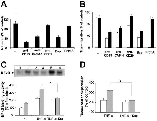 Figure 3. Influence of Eap on leukocyte–endothelial-cell interactions and on the activity of NFκB. (A) Adhesion of human neutrophils to endothelial cells is shown in the absence (–) or presence of blocking mAb to CD18, ICAM-1, and CD31 as indicated (each 20 μg/mL), Eap, or protein A (each 20 μg/mL). Cell adhesion is expressed relative to control (in the absence of competitor). Data are means ± SD (n = 3) of a typical experiment; similar results were obtained in 3 separate experiments. (B) The transendothelial migration of human neutrophils in response toward 50 ng/mL MCP-1 is shown in the absence (–) or presence of mAb to CD18, mAb to ICAM-1, mAb to CD29 (each 20 μg/mL), Eap, or protein A (each 20 μg/mL). Neutrophils and inhibitors were coincubated during the whole course of the transmigration experiment (□), or neutrophils were incubated on the endothelial cells for 20 minutes in the absence of competitors in order to facilitate their initial attachment on the endothelial surface, and inhibitors were added thereafter into the wells (▪). Transmigration is presented as percent of control (in the absence of competitor). Data are means ± SD (n = 3) of a typical experiment; similar results were obtained in 3 separate experiments. (C) The DNA-binding activity of NFκB without or with TNFα or TNFα plus Eap in THP-1 cells is shown in the absence (□) or presence (▦) of ICAM-1 (10 μg/mL), as indicated. The insert demonstrates a typical EMSA for NFκB DNA-binding activity (1 indicates control; 2, TNF-α; 3, TNF-α+Eap; 4, ICAM-1; 5, ICAM-1+TNFα; and 6, ICAM-1+TNFα+Eap). (D) The expression of tissue factor without or with TNFα or TNFα plus Eap in THP-1 cells is shown in the absence (□) or presence (▦) of ICAM-1 (10 μg/mL). Densitometric data are expressed relative to control (100% control is represented in the absence of stimuli or competitors), and are means ± SD of 2 separate experiments. *P < .05.