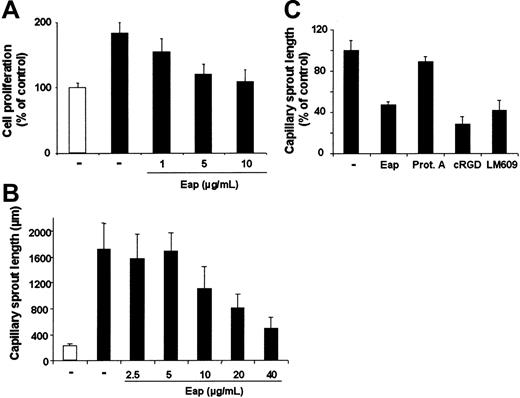 Figure 6. Effect of Eap on endothelial-cell proliferation and capillary sprout formation. (A) HUVEC proliferation. HUVECs were incubated without (□) or with (▪) VEGF (10 ng/mL) in the absence (–) or presence of increasing concentrations of Eap as indicated. Proliferation of HUVECs is expressed as a percentage of control, defined as cell proliferation in the absence of any stimulus or competitor. Data are means ± SD (n = 3) of 1 experiment typical of 3 separate experiments performed. (B-C) Capillary sprout formation. (B) HUVECs were incubated for 24 hours in the absence (–; □) or presence (▪) of VEGF (25 ng/mL) with or without increasing concentrations of Eap, as indicated. Capillary-like tube formation is expressed as capillary sprout length in micrometers. (C) HUVECs were incubated for 24 hours in the presence of VEGF (25 ng/mL) with or without (–) Eap, protein A (each 20 μg/mL), cyclic RGD peptide (cRGD; 20 μg/mL), or the mAb against αvβ3-integrin, LM609 (20 μg/mL), as indicated. Capillary-like tube formation is expressed relative to control, which is represented as sprout formation in the presence of VEGF and in the absence of any competitor. Data are means ± SD (n = 10) of a representative experiment. Similar results were obtained in 3 independent experiments.