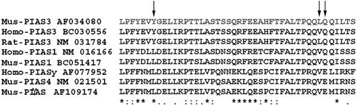 Figure 1. Alignment of PIAS family members. Fifty amino acids of the PIAS proteins (with their indicated GenBank accession numbers) have been aligned using ClustalW software. Mus indicates Mus musculus; Rat, Rattus norvegicus; and Homo, Homo sapiens. Arrows point to the 3 amino acids that were mutated.