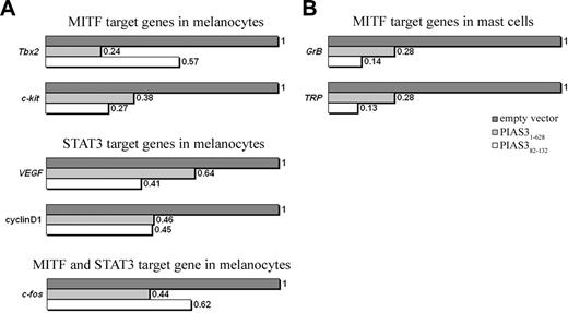 Figure 4. The effect of PIAS382-132 on STAT3- and MITF-mediated gene expression. (A) Quantitative real-time PCR analysis of MITF target genes (c-Kit and Tbx2), STAT3 target genes (CyclinD1 and VEGF), and MITF and STAT3 target gene (c-fos) from transfected melanocytes. (B) Quantitative RT-PCR analysis of MITF mast cell target genes (GrB and TRP) from transfected mast cells. In both cases, cells were transfected with expression plasmids containing PIAS31-628, PIAS382-132, or an empty vector. Total RNA (1.7 μg) was used from each transfection experiment. Transcript levels of MITF and STAT3 target genes were normalized to actin and performed in triplicate.