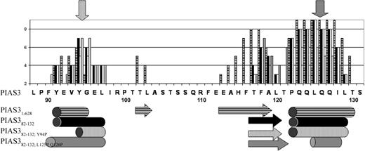 Figure 5. Predicted effects of the Y94P and L125P, Q126P mutations on the secondary structure of the PIAS382-132 segment. The secondary structure was predicted with PSIPRED. Confidence values (ranging from 0-9; 9 indicates highest confidence) are shown in bars along the PIAS3 sequence for the PIAS31-628 protein (), the segment PIAS382-132 (▪), and the mutants PIAS382-132; Y94P (□) and PIAS382-132; L125P, Q126P (). Predicted α helices and β strands are shown below the graph as tubes and arrows, respectively. Predictions are similar for PIAS31-628 and PIAS382-132, except for more confident location of a central β strand in the full sequence secondary structure prediction. Mutation(s) to proline reduce the confidence level of the helix prediction, both for the N- and C-terminal helix. This effect is somewhat more expressed at the N-terminus due to its initially weaker helical signal. This figure indicates that the N-terminal helix might be abolished by the Y94P mutation, while the C-terminal helix is significantly shortened by the L125P, Q126P double mutation.