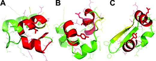 Figure 7. Possible structures for the PIAS382-132 segment created by ROBETTA de novo modeling. Three representative models are shown: (A) the lowest energy model of the prediction runs; (B) low-energy model of largest cluster that contains lowest energy models; and (C) a model that includes a beta hairpin. The predicted elements of secondary structure (according to PSIPRED, Figure 5) are colored in red (helix) and yellow (strand). The positions that were mutated to proline (eg, Y94, L125, and Q126) are shown in sticks. Y94 points mostly into the core but is also accessible to interactions with protein partners. In contrast, Q126 is mostly exposed.