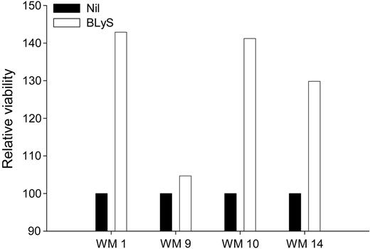 Figure 5. BLyS promotes survival of WM cells. CD19+CD138+ cells (0.25 × 106 cells/well) from WM patients (n = 4) were cultured in 48-well plates in RPMI 10% FBS in the presence or absence of 100 ng/mL BLyS. One week following treatment, the cells were harvested and assayed for viability using annexin-V/PI staining. Cell viability in the presence of BLyS was normalized to the media-alone control and is presented as relative viability.