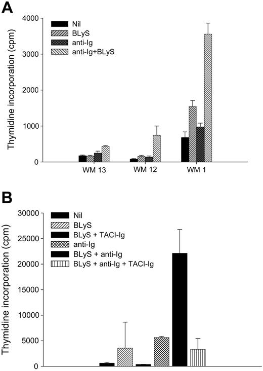 Figure 6. BLyS promotes proliferation of WM cells. (A) CD19+CD138+ cells (0.1 × 106 cells/well) from WM patients (n = 3) were cultured in 96-well round-bottom plates in the presence or absence of 100 ng/mL BLyS or 10 μg/mL anti-Ig Ab, each alone or in combination, for 5 days at 37°C in the presence of 5% CO2. Values represent the mean of triplicate values ± SD. (B) TACI-Ig fusion protein blocks BLyS-induced proliferation of malignant B cells. A fourth WM patient sample (WM15) was used to show that BLyS-induced proliferation of malignant B cells is inhibited in the presence of TACI-Ig fusion protein.