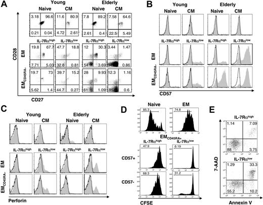 Figure 3. Cellular characteristics of EM and EMCD45RA+ IL-7Rαhigh and IL-7Rαlow CD8+ T cells in elderly and young subjects. (A-C) PBMCs from healthy elderly and young subjects were stained with antibodies to CD8, CCR7, CD45RA, IL-7Rα, CD27, CD28, CD57, perforin, or isotype antibodies. Expression of CD27, CD28, CD57 (shaded histograms, B), perforin (shaded histograms, C) and isotype (open histograms, B-C) antibodies by naive, CM, EM IL-7Rαhigh, EM IL-7Rαlow, EMCD45RA+ IL-7Rαhigh and IL-7Rαlow CD8+ T-cell subsets was determined by gating on each cell subset. Numbers in dot plots (A) indicate the percentage of positive cells in each quadrant. Results are representative data from 5 separate subjects in each group. (D-E) PBMCs from a healthy elderly subjects were stained with antibodies to CD8, CD45RA, and CCR7 and were sorted into naive, EM, EMCD45RA+ IL-7Rαhigh, and IL-7Rαlow. (D) Cells were stained with CFSE and stimulated for 6 days with antibodies to CD3 and CD28. Stimulated cells were stained with antibodies to CD57. Numbers in histograms indicate the percentages of proliferating cells. Results are representative data from 3 young and 2 elderly subjects. (E) Sorted cells were incubated for 6 days in the presence of IL-7 (100 ng/mL) and were stained with annexin V and 7-AAD. Numbers in dot plots indicate the percentage of cells in each quadrant. Results are representative data from 2 young and 2 elderly subjects.