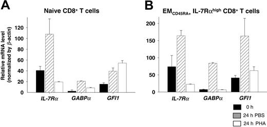 Figure 4. Alterations in the expression of IL-7Rα, GABPα, and GFI1 mRNA in naive and EMCD45RA+ IL-7Rαhigh CD8+ T cells in response to cell stimulation. PBMCs from healthy young subjects were stained with antibodies to CD8, CD45RA, CCR7, and IL-7Rα and were sorted into naive and EMCD45RA+ IL-7Rαhigh CD8+ T cells. The expression of IL-7Rα, GABPα, and GFI1 mRNA in freshly isolated (0 hour), 24-hour PBS- and PHA-incubated naive (A) and EMCD45RA+ IL-7Rαhigh (B) cells was measured using real-time PCR. Graphs show the mean expression (n = 2) and standard deviation (SD) of the indicated genes. Data were normalized to β-actin expression in individual samples.