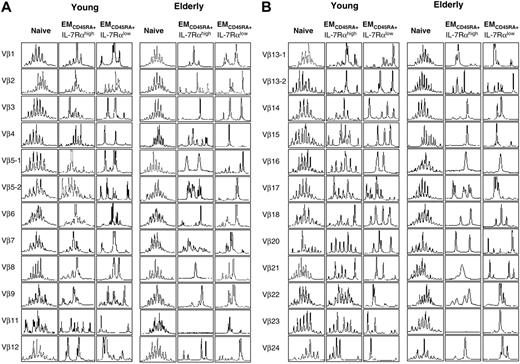 Figure 7. TCR repertoire of naive and EMCD45RA+ IL-7Rαhigh and IL-7Rαlow CD8+ T cells in elderly and young subjects. PBMCs from healthy young and elderly subjects were stained with antibodies to CD8, CD45RA, CCR7, and IL-7Rα and sorted into naive, EMCD45RA+ IL-7Rαhigh, and IL-7Rαlow CD8+ T cells. Total RNA was isolated from sorted cells and used for measuring the TCR repertoire using spectratyping, as described in “Experimental procedures.” Results are representative data from 2 young and 2 elderly subjects.