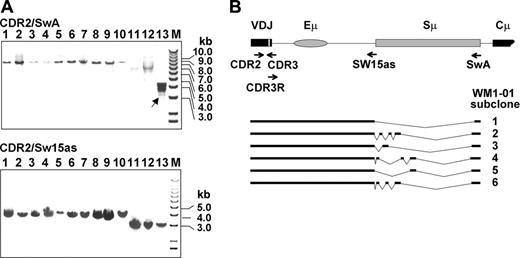Figure 1. PCR amplification of WM and IgM MGUS VDJ-S regions reveals rare deletion events. (A) CDR2/SwA and CDR2/Sw15as fragments analyzed by agarose gel electrophoresis reveal multiple VDJ-S fragments in patient WM1-01 (lane 13). Arrow indicates the deleted switch region of WM1-01 clone. Lanes 1-3, IgM MGUS clones using VH3/JH4 gene segments; lanes 4-9, WM clones using VH3/JH4 gene segments; lane 10, WM clone using VH3/JH3 gene segments; lanes 11-13, WM clones using VH3/JH6 gene segments; M indicates marker. Expected sizes of CDR2/SwA fragments are 7.8 (lanes 1-9), 8.1 (lane 10), and 6.8 kb (lanes 11-13). Expected sizes of CDR2/Sw15as fragments are 4 (lanes 1-9), 4.3 (lane 10), and 3 kb (lanes 11-13). (B) Deletions in subcloned WM1-01 VDJ-S fragments. The expected germline configuration is presented at the top, with subcloned fragments indicated by bars. VDJ refers to rearranged variable, diversity, and joining gene segments.