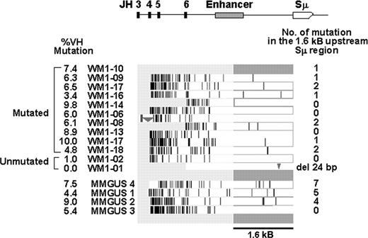 Figure 2. Mutation profiles of VDJ-S regions from patients with WM and IgM MGUS. The horizontal bar at the top depicts the DNA segment amplified by CDR2 and Sw15as primers. Patient mutation profiles are aligned directly underneath; vertical lines indicate point mutations, triangles indicate deletions (176 bp in WM1-06 and 24 bp in WM1-01). Total point mutations in the 1.6-kb region (dark gray bar) are summarized to the right.