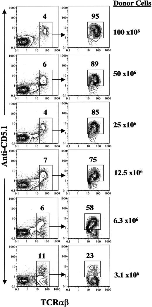 Figure 2. Donor T-cell chimerism. Blood mononuclear cells of BALB/c recipients given graded numbers of DBA/2 donor spleen cells were stained with anti-TCRαβ versus anti-CD5.1. The TCRαβ+ T cells among blood mononuclear cells are gated and the percentage of T cells is shown above the gating boxes. Gated T cells are shown in TCRαβ versus CD5.1 in the right panels. The donor T cells (CD5.1+) are gated and the percentage of donor T cells in total T cells is shown above the gating boxes. The donor-cell dose for each group was shown on the right side of the panels. A representative of 10 recipients in each group is shown.