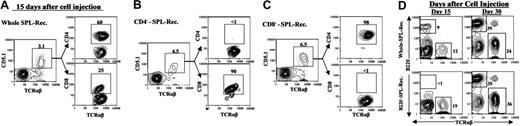 Figure 4. Donor T-cell subsets and B cells in recipients given different donor cells. (A-C) The blood mononuclear cells from recipients given whole DBA/2 donor spleen cells (whole SPL-Rec), CD4+ T-cell-depleted spleen cells (CD4--SPL-Rec), or CD8+ T-cell-depleted spleen cells (CD8--SPL-Rec) were stained with anti-TCRαβ, CD4, CD8, and CD5.1 (donor T-cell marker) on day 15 after cell injection. The gated TCRαβ+CD5.1+ donor T cells are shown as TCRαβ versus CD4 or CD8. The percentage of CD5.1+ T cells among blood mononuclear cells and the percentage of CD4+ and CD8+ T cells among CD5.1+ donor T cells are shown above the gating boxes. One representative is shown of 8 recipients in each group. (D) The blood mononuclear cells from recipients given whole DBA/2 donor spleen or B220+ B-cell-depleted spleen (B220--SPL-Rec) were stained with anti-TCRαβ versus anti-B220 15 and 30 days after donor-cell injection. The TCRαβ+ T cells and B220+ B cells are gated, and the percentage of those cells among mononuclear cells is shown beside the gating boxes. One representative is shown of 8 recipients in each group.